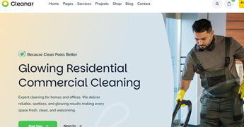 Cleaning Services